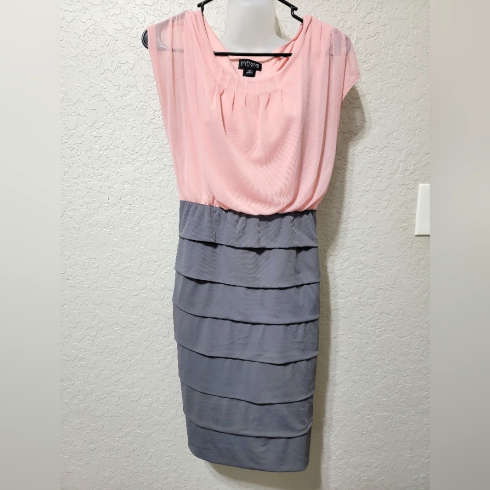 Enfocus Pink & Gray Dress